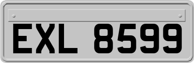 EXL8599