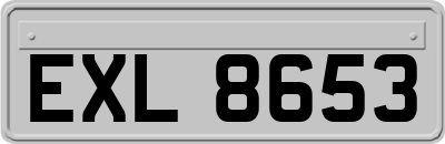 EXL8653