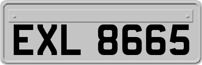 EXL8665