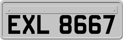 EXL8667