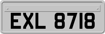 EXL8718