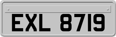 EXL8719