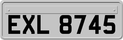 EXL8745
