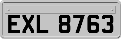 EXL8763