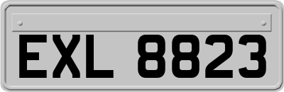 EXL8823
