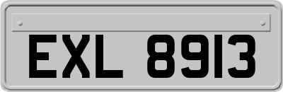 EXL8913