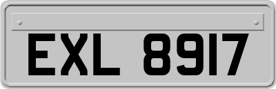 EXL8917