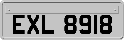 EXL8918