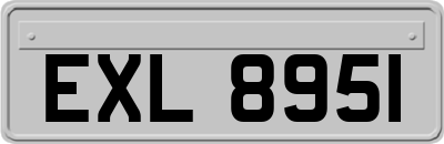 EXL8951
