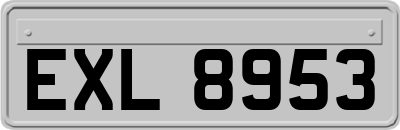 EXL8953