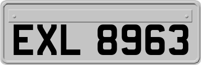 EXL8963