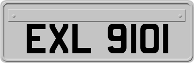 EXL9101