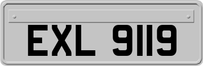 EXL9119