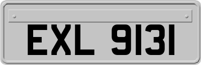 EXL9131