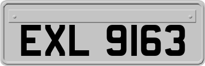 EXL9163