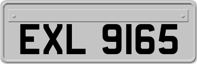 EXL9165