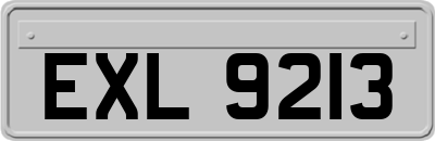 EXL9213