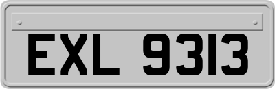 EXL9313