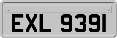 EXL9391