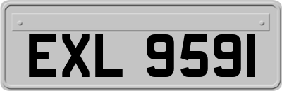 EXL9591