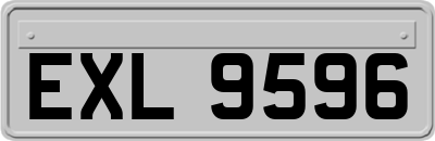 EXL9596