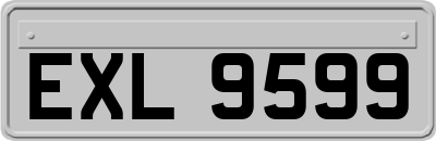 EXL9599