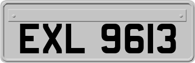 EXL9613
