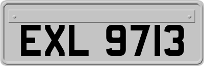 EXL9713