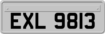 EXL9813