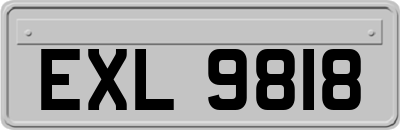 EXL9818