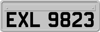 EXL9823