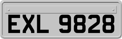 EXL9828