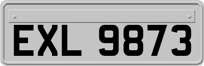 EXL9873