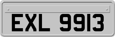 EXL9913