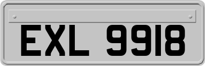 EXL9918
