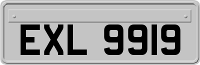 EXL9919
