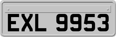 EXL9953