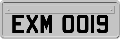 EXM0019