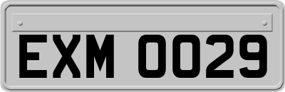 EXM0029