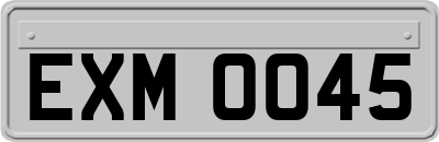 EXM0045