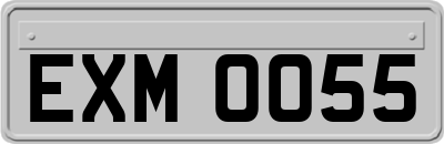 EXM0055