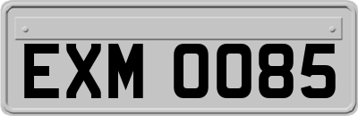 EXM0085