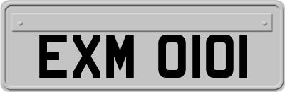 EXM0101