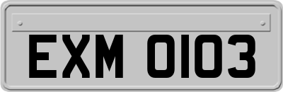 EXM0103