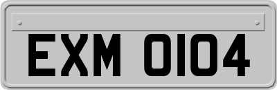 EXM0104