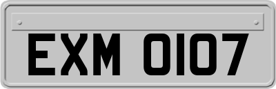 EXM0107