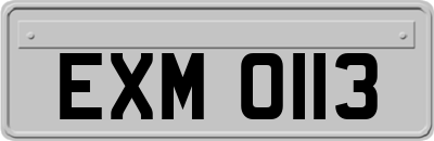 EXM0113