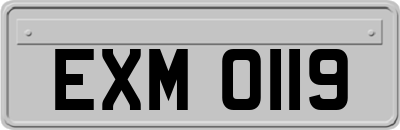 EXM0119
