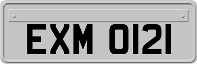 EXM0121
