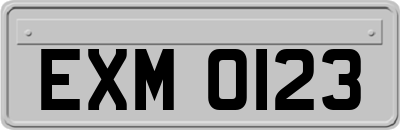 EXM0123